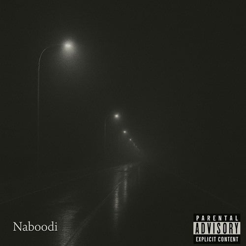Naboodi cover: an empty street at night under fog and street lamps